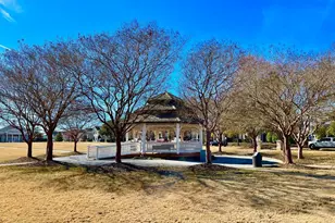 306 Madison Grove Pl, Cary, NC 27519 - Photo 32