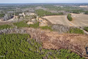 5421 W Old Spring Hope Rd, Spring Hope, NC 27882 - Photo 48