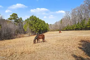 3787 Pleasant Hill Church Rd, Siler City, NC 27344 - Photo 60