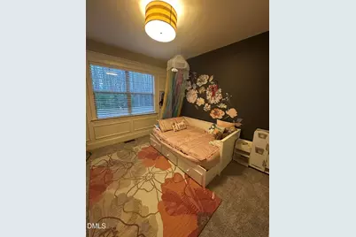 688 Willard Drive, Creedmoor, NC 27522 - Photo 10