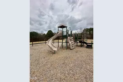 688 Willard Drive, Creedmoor, NC 27522 - Photo 46