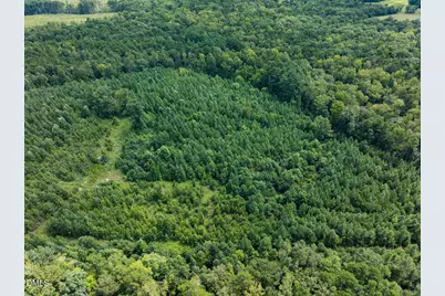 00 Scott Road, Semora, NC 27343 - Photo 54