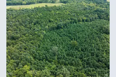 00 Scott Road, Semora, NC 27343 - Photo 50