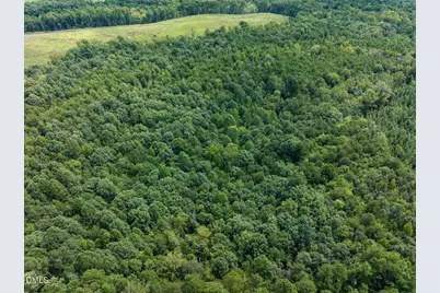 00 Scott Road, Semora, NC 27343 - Photo 48