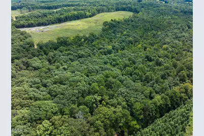 00 Scott Road, Semora, NC 27343 - Photo 46