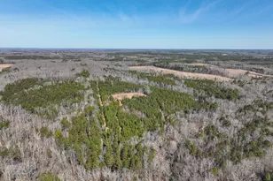 00 Scott Rd, Semora, NC 27343 - Photo 1