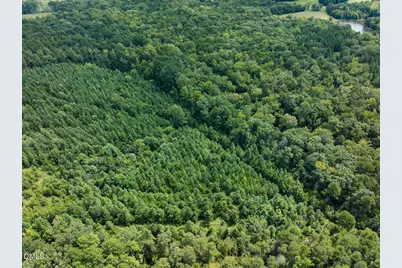 00 Scott Road, Semora, NC 27343 - Photo 56