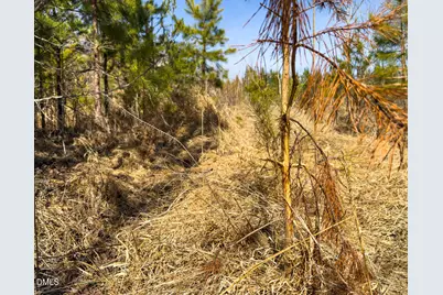 00 Scott Road, Semora, NC 27343 - Photo 26