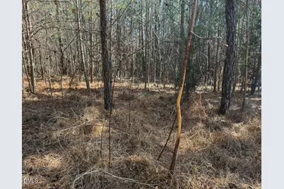 00 Scott Road, Semora, NC 27343 - Photo 10