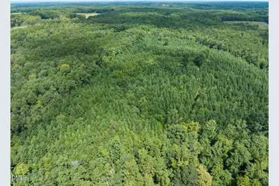 00 Scott Road, Semora, NC 27343 - Photo 28