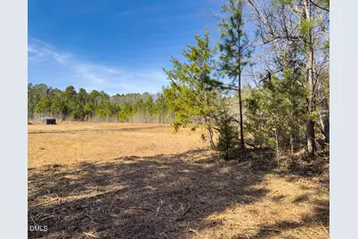 00 Scott Road, Semora, NC 27343 - Photo 30