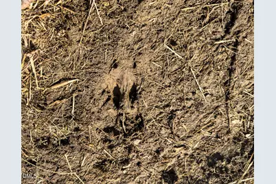 00 Scott Road, Semora, NC 27343 - Photo 14