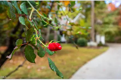 233 Bartlett Drive, Pittsboro, NC 27312 - Photo 68