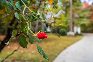 233 Bartlett Dr, Pittsboro, NC 27312 - Photo 68