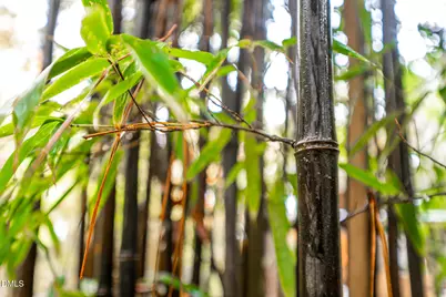 233 Bartlett Drive, Pittsboro, NC 27312 - Photo 66