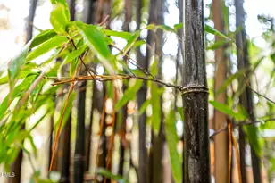 233 Bartlett Dr, Pittsboro, NC 27312 - Photo 66