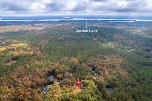 233 Bartlett Dr, Pittsboro, NC 27312 - Photo 64