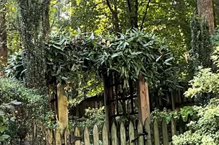 110 Linnaeus Pl, Chapel Hill, NC 27514 - Photo 74