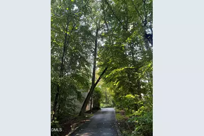 110 Linnaeus Place, Chapel Hill, NC 27514 - Photo 72