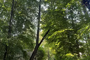 110 Linnaeus Pl, Chapel Hill, NC 27514 - Photo 72