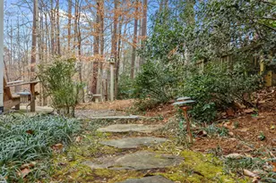 110 Linnaeus Pl, Chapel Hill, NC 27514 - Photo 30