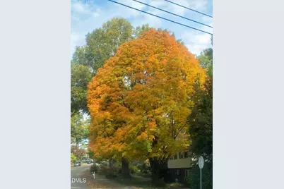 2100 Nancy Ann Drive, Raleigh, NC 27607 - Photo 34