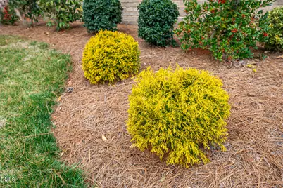 914 Bonanza Lane, Mebane, NC 27302 - Photo 36