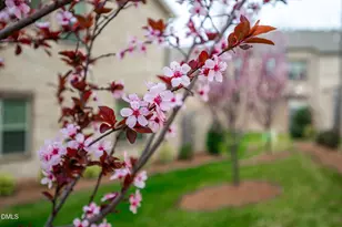 914 Bonanza Ln, Mebane, NC 27302 - Photo 40