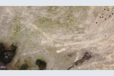 0 White Cedar Lane, Wake Forest, NC 27587 - Photo 16