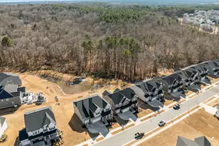 160 Cramerton Dr, Holly Springs, NC 27540 - Photo 48