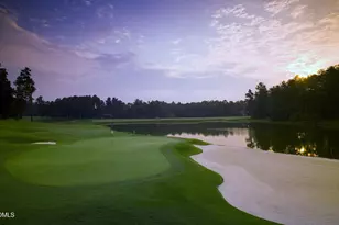 19240 Stone Brook, Chapel Hill, NC 27517 - Photo 38