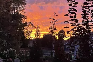 10009 Leesville Grove Dr, Raleigh, NC 27613 - Photo 66