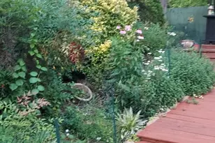 1505 Wesser Ct, Fuquay Varina, NC 27526 - Photo 16