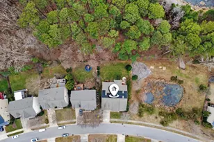 124 Briarfield Dr, Apex, NC 27502 - Photo 58