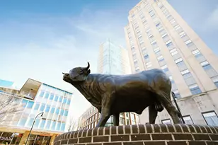 914 South St, Durham, NC 27707 - Photo 32