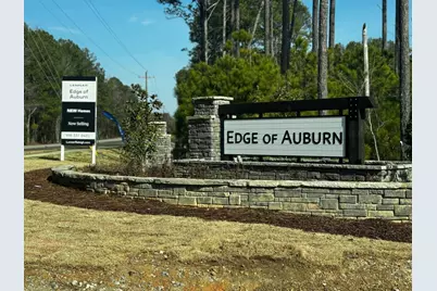 168 Aster Bloom Lane, Raleigh, NC 27610 - Photo 38