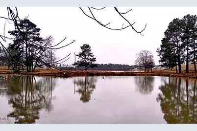 1114 Flyfish Avenue, Durham, NC 27703 - Photo 6