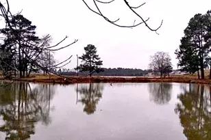 1114 Flyfish Ave, Durham, NC 27703 - Photo 6