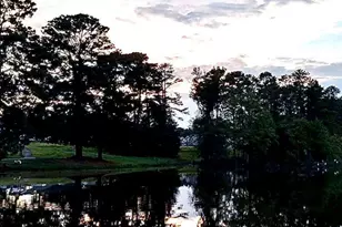 1114 Flyfish Ave, Durham, NC 27703 - Photo 42