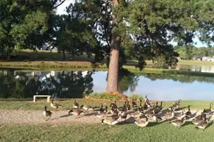 1114 Flyfish Ave, Durham, NC 27703 - Photo 40