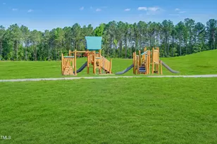 1701 Goldfinch Perch Ln, Knightdale, NC 27545 - Photo 66