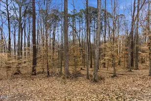 3018 Hidden Spring Ln, Oxford, NC 27565 - Photo 32