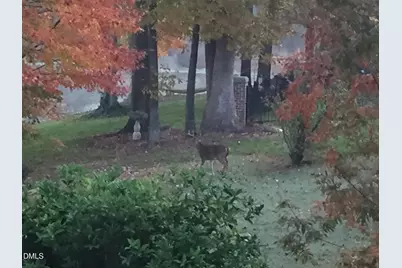 317 Charleston Drive, Clayton, NC 27527 - Photo 52