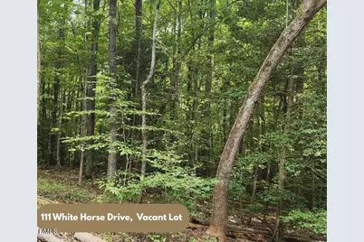 111 White Horse Drive, Louisburg, NC 27549 - Photo 1