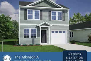 265 Buckthorn Dr, Youngsville, NC 27596 - Photo 4