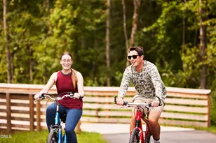 68 Wandering Wy, Pittsboro, NC 27312 - Photo 44