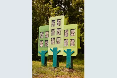 68 Wandering Way, Pittsboro, NC 27312 - Photo 30