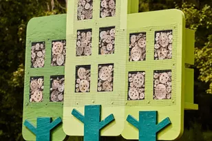 68 Wandering Wy, Pittsboro, NC 27312 - Photo 30