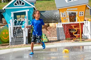 68 Wandering Wy, Pittsboro, NC 27312 - Photo 38