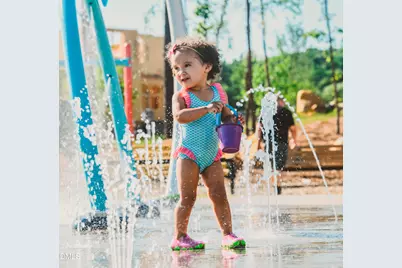 68 Wandering Way, Pittsboro, NC 27312 - Photo 34